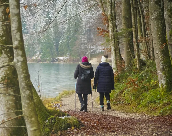 two women walking along winter lake - Alpsee, Bavaria, Germany.  rear view. Back of 2 persons walking near cold lake. Cold weather hike in winter.