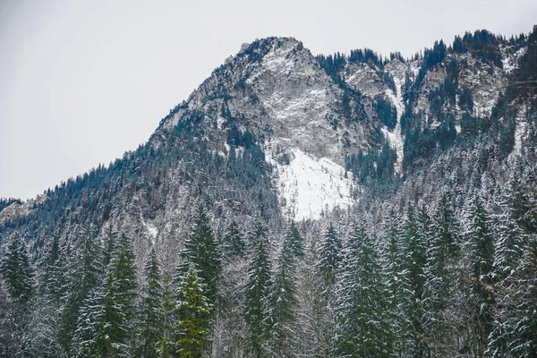 Sneeuw Bedekte Winterbergen Dennenbos Beieren Duitsland Winterseizoen — Stockfoto