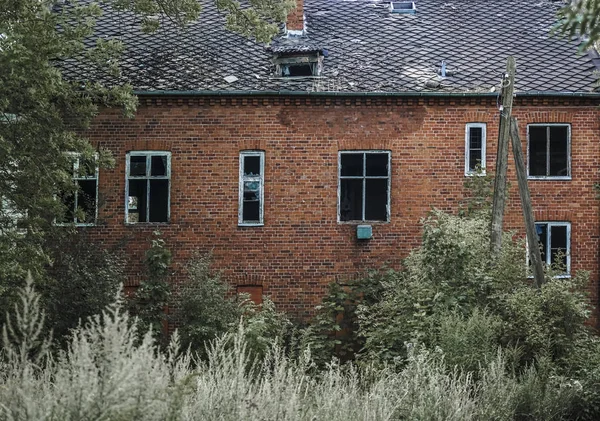 Exterior of german red brick house. brown tiled roof. The facade of the house are entwined with green grass and trees. Kaliningrad region, Pravdinsk ( Friedland ), Russia. East Prussia