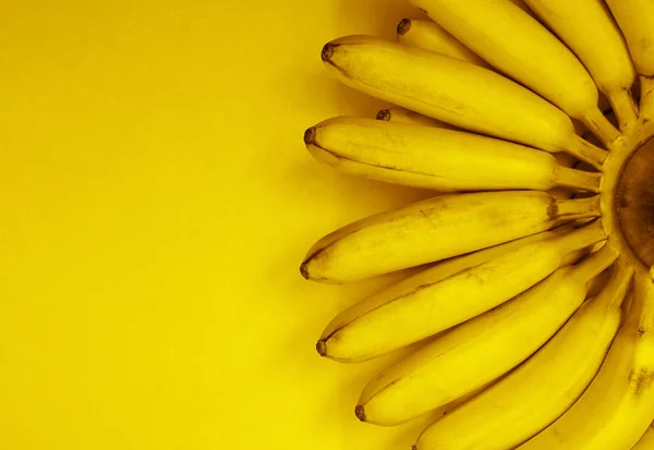 黄色の紙の背景に隔離された小さなバナナの枝 碑文のための空のコピースペース — ストック写真