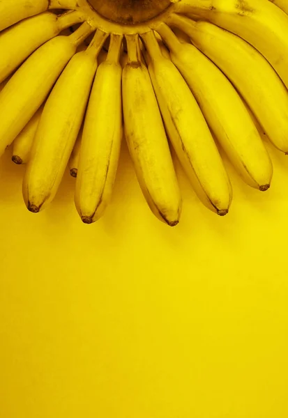 黄色の紙の背景に隔離された小さなバナナの枝 碑文のための空のコピースペース — ストック写真