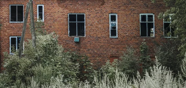 Exterior of german red brick house. brown tiled roof. The facade of the house are entwined with green grass and trees. Kaliningrad region, Pravdinsk ( Friedland ), Russia. East Prussia