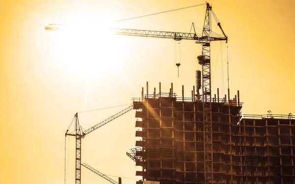 Fond Silhouettes Grues Construction Sur Fond Ciel Soir Site Construction — Photo