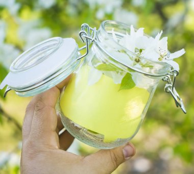 boş yeşil çıkartma. Mavi gökyüzüne ve çiçek açmış elma ağacına karşı dolu cam kavanozda. Bahar mevsimi. Bardaklarda elma ağacının beyaz çiçekleri. İlkbahar arkaplanı.