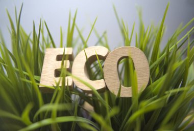 Beyaz ya da gri arka planda yeşil çimlerin üzerinde duran harflerden yapılmış ahşap bir kelime. Çevre dostu kavram.