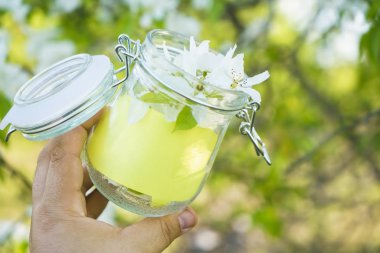 boş yeşil çıkartma. Mavi gökyüzüne ve çiçek açmış elma ağacına karşı dolu cam kavanozda. Bahar mevsimi. Bardaklarda elma ağacının beyaz çiçekleri. İlkbahar arkaplanı.