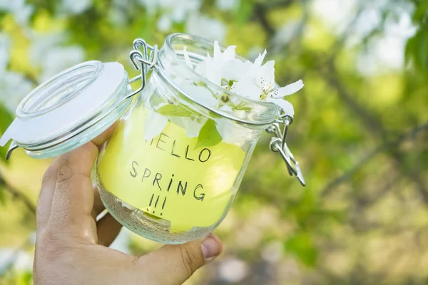 Autocollant vert avec des mots - bonjour printemps ! dans un bocal en verre plein agai — Photo