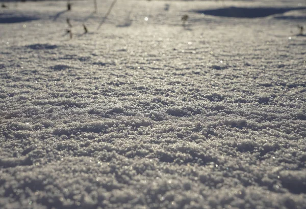 Φρέσκο ανώμαλο τοπίο χιόνι σε παγωμένο μπλε και κίτρινο τόνο για — Φωτογραφία Αρχείου