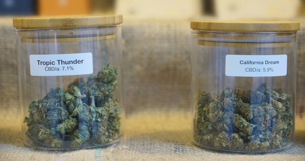 marijuana buds in a small glass jars to be stored and harvested and dried ready for consumption, marijuana sale form.