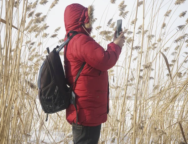 Junge Männchen Stehen Schilfdickicht Auf Himmelshintergrund Einer Knallroten Winterjacke Mit — Stockfoto