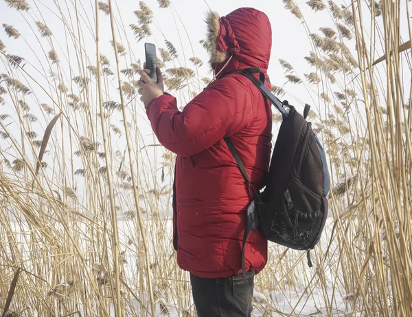 Junge Männchen Stehen Schilfdickicht Auf Himmelshintergrund Einer Knallroten Winterjacke Mit — Stockfoto