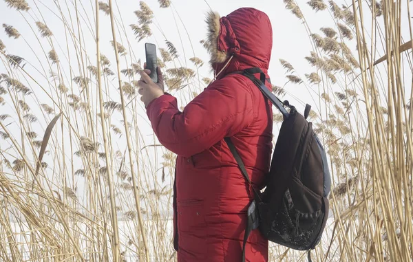 young male stand in thicket of reeds  on sky  background in a bright red winter jacket with a hood with fur in winter. Using  a mobile phone, talk and call. no face, unrecognizable person.