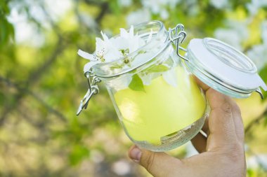 boş yeşil çıkartma. Mavi gökyüzüne ve çiçek açmış elma ağacına karşı dolu cam kavanozda. Bahar mevsimi. Bardaklarda elma ağacının beyaz çiçekleri. İlkbahar arkaplanı.