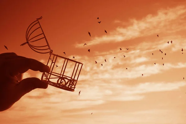 Mannelijke Hand Houden Vogel Kooi Hemel Met Wolken Achtergrond Idee — Stockfoto