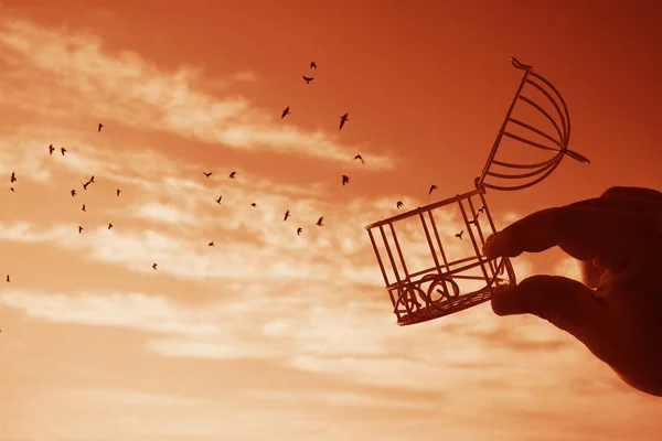 male hand holding  bird cage on   sky with clouds background, idea concept of freedom. open cover. concept being set free with birds flying out of a cage held by a person