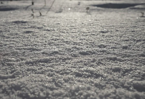 Свіжий Бурхливий Сніговий Пейзаж Замерзлому Синьо Жовтому Тоні Фону Світло — стокове фото