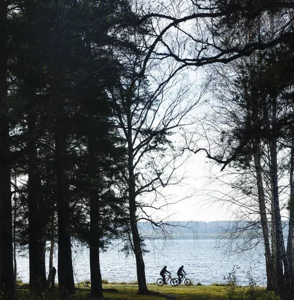 Tourist couple riding bicycles. Woman and man having fun cycling among green  woodland and water canals. Man and woman on bicycles riding along river.