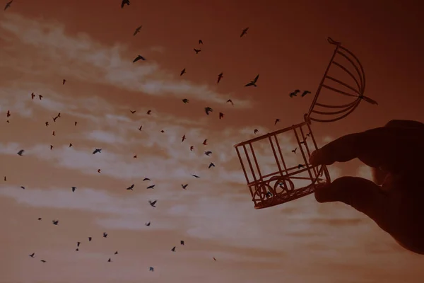 male hand holding  bird cage on   sky with clouds background, idea concept of freedom. open cover. concept being set free with birds flying out of a cage held by a person