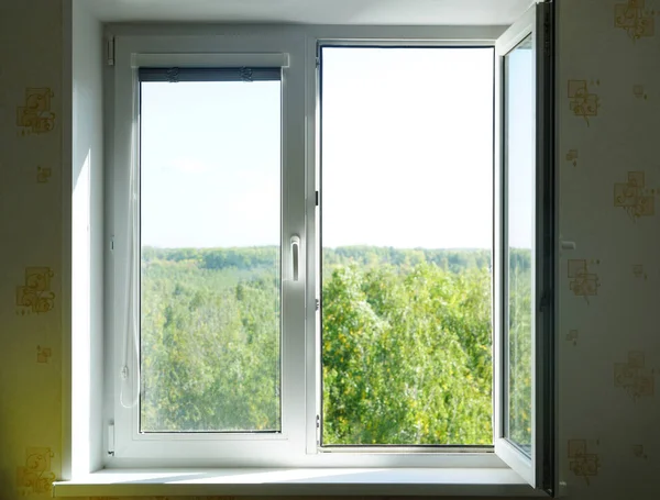 Arkaplanda Güneşli Gökyüzünün Altında Yeşil Ormanı Olan Plastik Bir Pencere — Stok fotoğraf