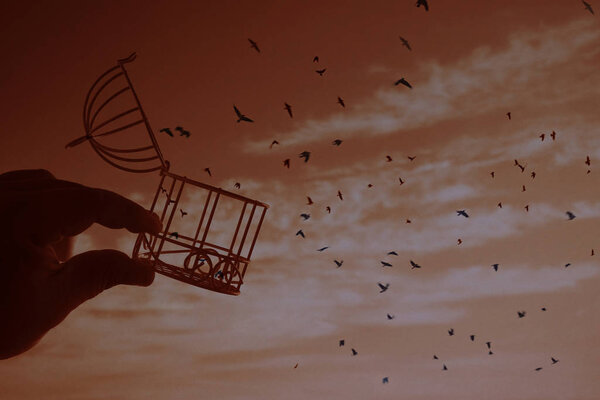 male hand holding  bird cage on   sky with clouds background, idea concept of freedom. open cover. concept being set free with birds flying out of a cage held by a person 