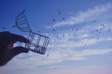 Erkek ellerinin gökyüzünde kuş kafesi olması, bulutların arka planında, özgürlük kavramı. Açık kapak. Bir insanın elinde tuttuğu bir kafesten uçan kuşlarla özgür bırakılmak. 