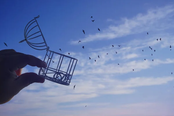 Mano Masculina Sosteniendo Jaula Pájaro Cielo Con Fondo Nubes Idea —  Fotos de Stock
