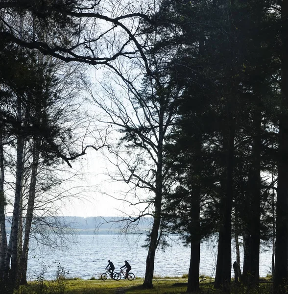 Tourist couple riding bicycles. Woman and man having fun cycling among green  woodland and water canals. Man and woman on bicycles riding along river.