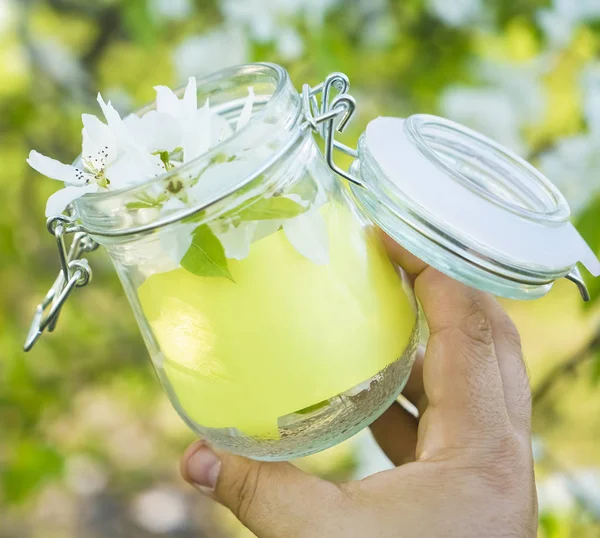 boş yeşil çıkartma. Mavi gökyüzüne ve çiçek açmış elma ağacına karşı dolu cam kavanozda. Bahar mevsimi. Bardaklarda elma ağacının beyaz çiçekleri. İlkbahar arkaplanı.