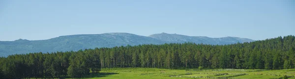 Erstaunliche Aussicht Auf Häuser Und Kiefern Ural Gebirge Südural Landschaftlich — Stockfoto