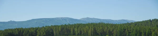 Niesamowity Widok Domy Sosny Górach Ural Południowym Ural Malowniczy Krajobraz — Zdjęcie stockowe