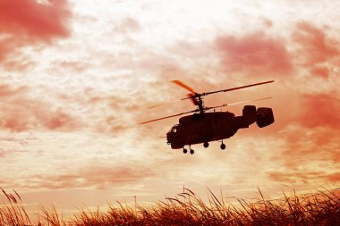 Yeşil çimlerin üzerinde uçan Rus askeri helikopterinin silueti. bulutlu gökyüzü.