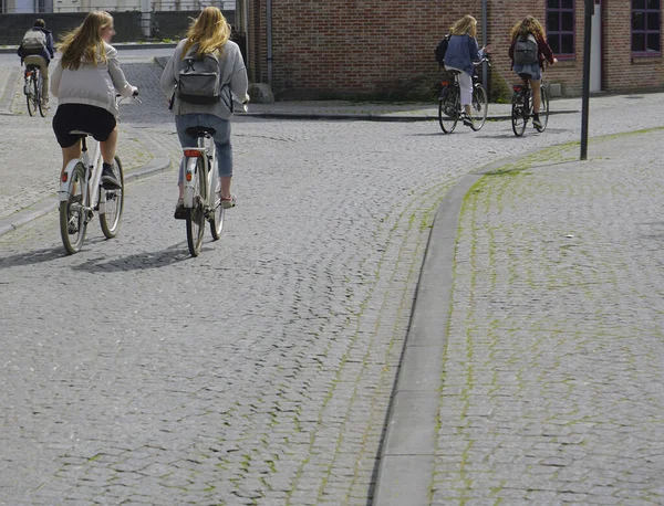 Mujeres Montando Bicicletas Calle Europea Bicicleta Alquiler Amberes Bélgica — Foto de Stock