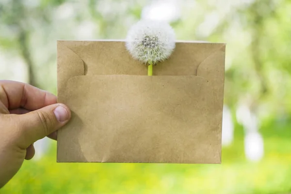 Green Meadow Background One Fluffy Dandelion One Which Craft Paper — Stock Photo, Image