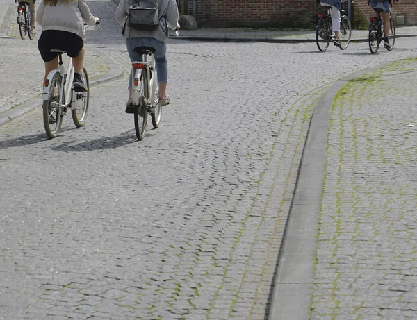 Mujeres Montando Bicicletas Calle Europea Bicicleta Alquiler Amberes Bélgica — Foto de Stock