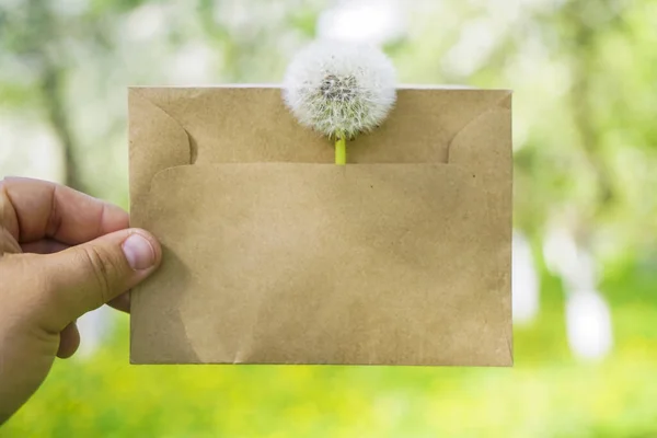 Groene Weide Achtergrond Met Een Pluizige Paardebloem Waarvan Een Een — Stockfoto