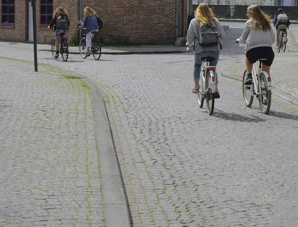 Mujeres Montando Bicicletas Calle Europea Bicicleta Alquiler Amberes Bélgica — Foto de Stock