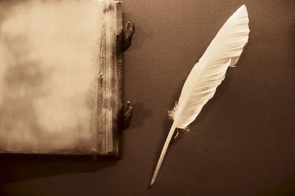 Vintage historical book with white feather.
