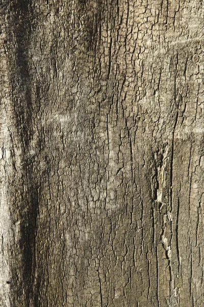 Hintergrundfragment Einer Holzoberfläche — Stockfoto