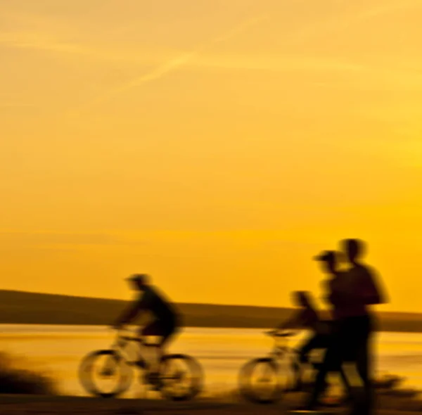 Empty Space Sporty Friends Bicycles Sunset Cyclists Riding Coast Sport — Stock Photo, Image