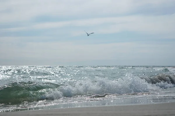 水しぶきの上を飛ぶカモメの鳥 バルト海の上の海のカモメ 風の強い天候 — ストック写真