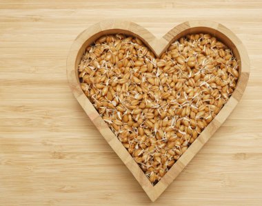 Kırsal ahşap arka planda kalp şeklindeki kasede buğday filizleri ve metin için boş bir alan. Üst manzara, düz uzanma.