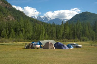 Birçok çadır turistik yerlerde, dağlarda ve çam ormanlarında. Altai, Rusya. Dağların arka planında turist çadırları. Yaz kampı. Karla kaplı dağ zirveleri.