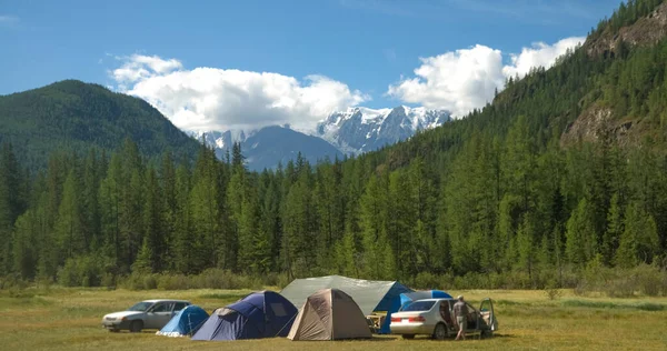Many tents  In tourist spots, on mountains and pine forests. Altai, Russia.  tourist tents on mountains background.  summer camping. mountain peaks with snow.