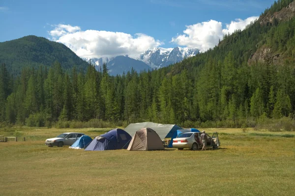 Viele Zelte Touristenorten Auf Bergen Und Kiefernwäldern Altai Russland Touristenzelte — Stockfoto