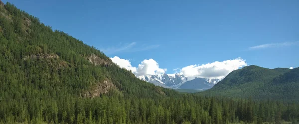 Schneebedeckte Berge Und Kiefernwälder Altai Russland Berghintergrund Sommersaison Berggipfel Mit — Stockfoto
