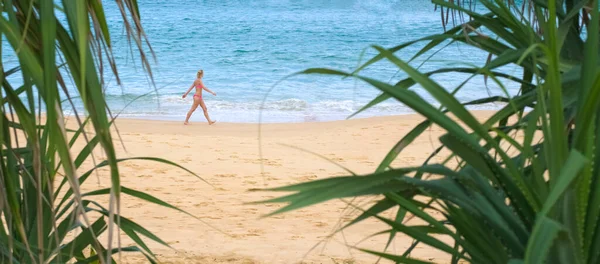 Tropik Sahilde Yürüyen Güzel Bir Kadın Genç Bayan Turist Palmiye — Stok fotoğraf