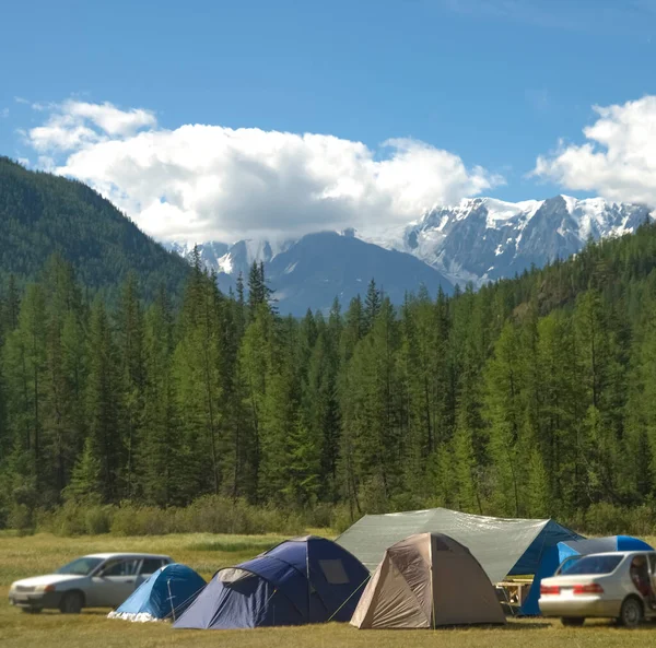 Many tents  In tourist spots, on mountains and pine forests. Altai, Russia.  tourist tents on mountain background.  summer camping. mountain peaks with snow.