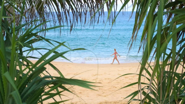 One Beautiful Woman Walking Tropical Beach Young Lady Tourist Walking — Stock Photo, Image