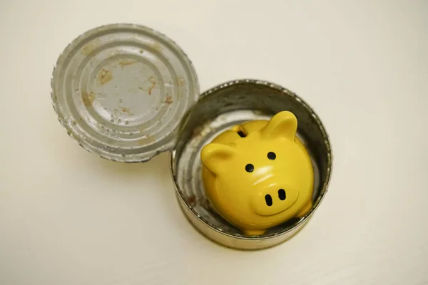 Caixa Doação Piggy Bank Dentro Lata Metal Para Alimentos Enlatados — Fotografia de Stock