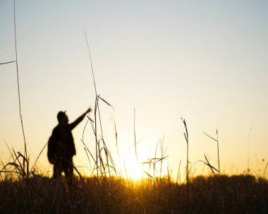 İnsan elinin silueti, doğanın arka planında bir numarayı gösteriyor, işaret ediyor. Eller sahada gökyüzünü gösteriyor. Güneşli bir yaz. günbatımı sarı ışık